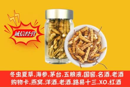 南充市营山回收散虫草