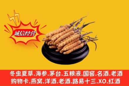 南充市营山名酒回收冬虫夏草.jpg